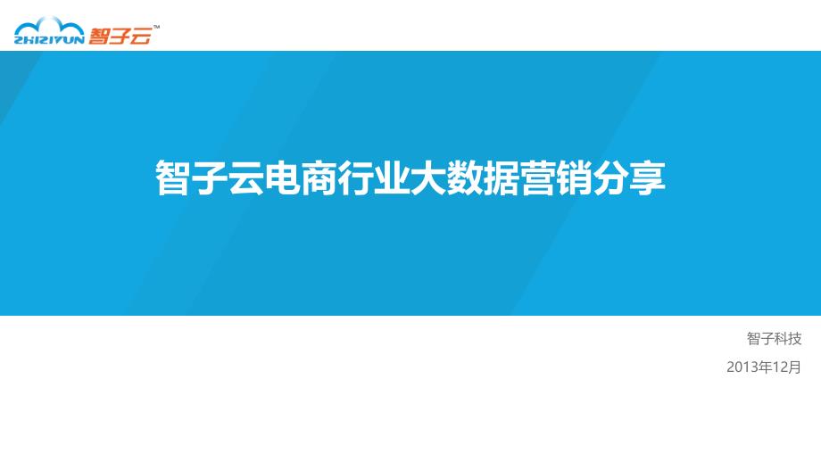 智子云电商行业大数据营销分享_第1页