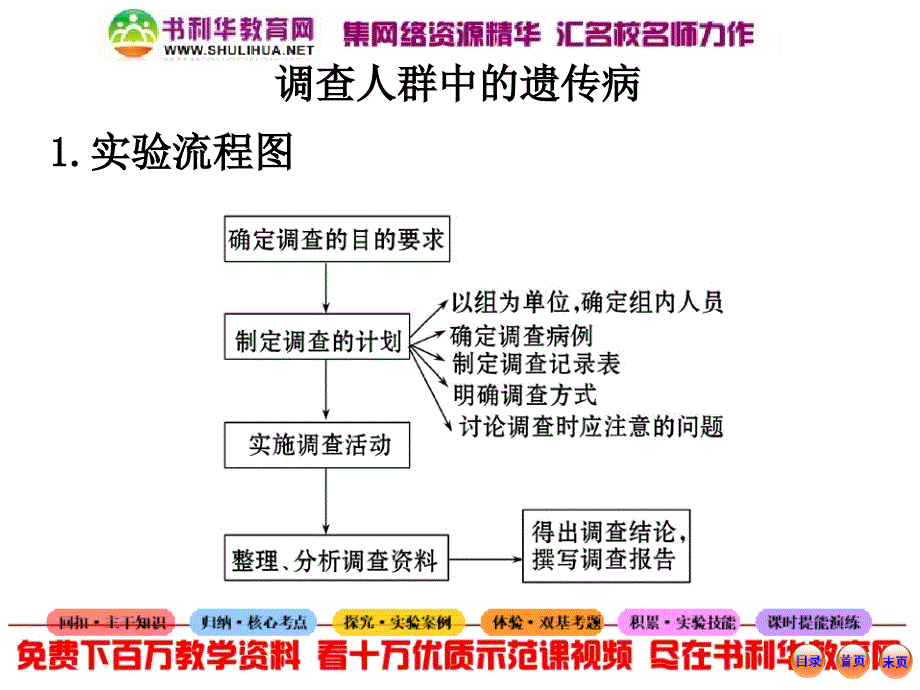 调查人群中的遗传病课件_第1页