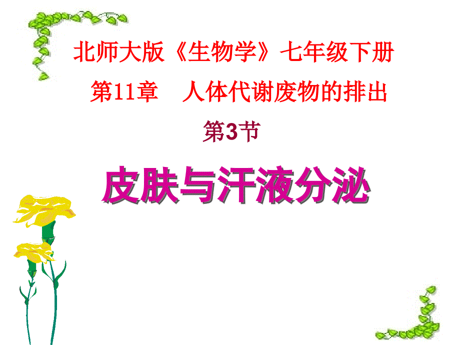 第十一章第三节皮肤与汗液分泌-新课件_第1页