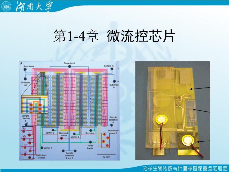 第1-4章-微流控芯片课件_第1页
