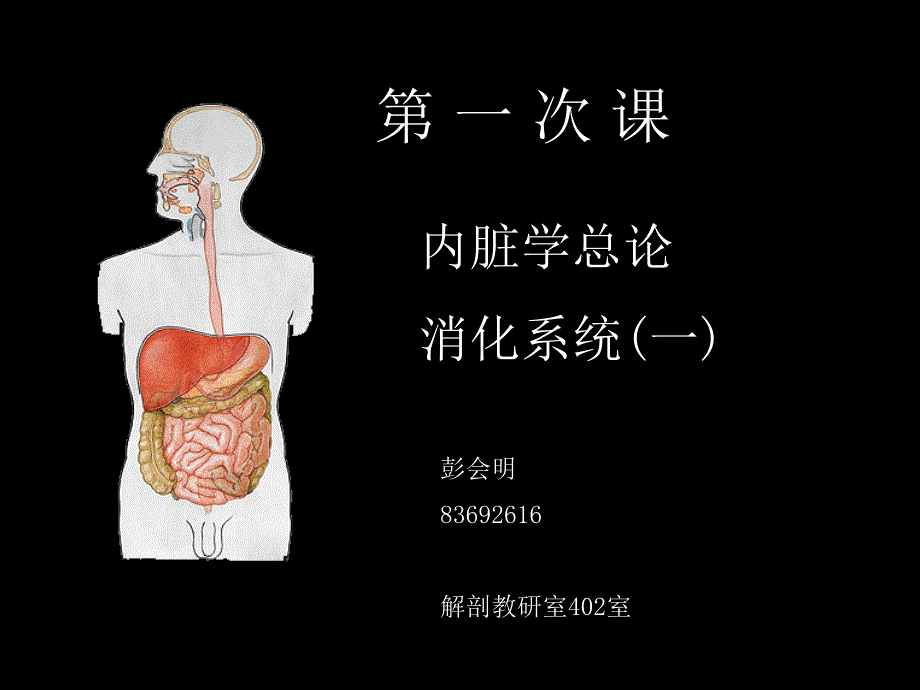 第1次课-内脏、消化管一_第1页