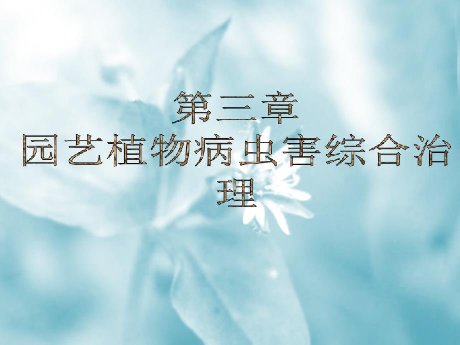 园艺植物病虫害综合治理（PPT43页)_第1页