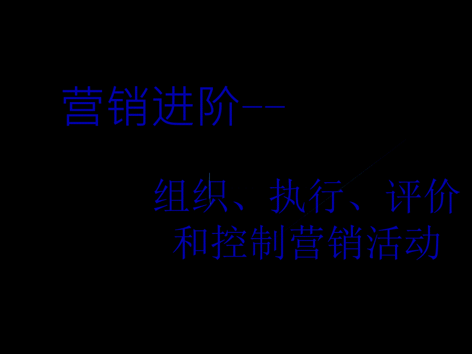 营销进阶-组织执行评价与控制营销活动_第1页