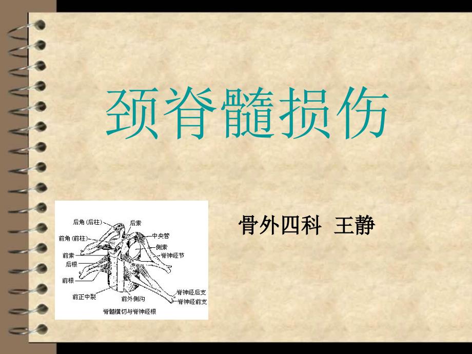 颈脊髓损伤资料课件_第1页