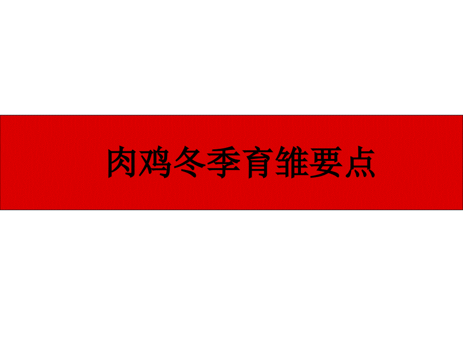 肉鸡冬季育雏要点_第1页