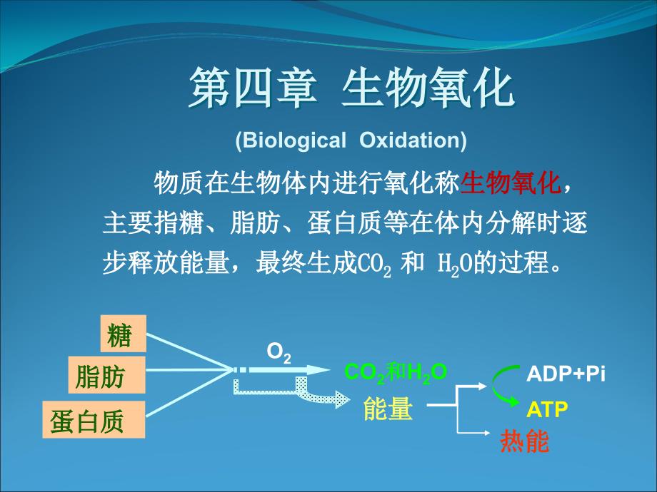 第四章 生物氧化PPT课件_第1页