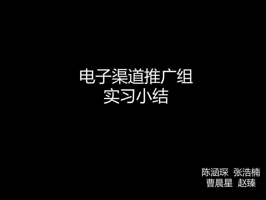 电子渠道推广组实习小结PPT课件[通用]_第1页