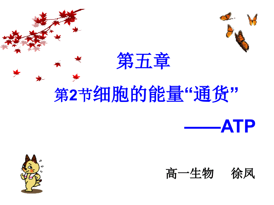 细胞的能量通货ATP通用课件_第1页