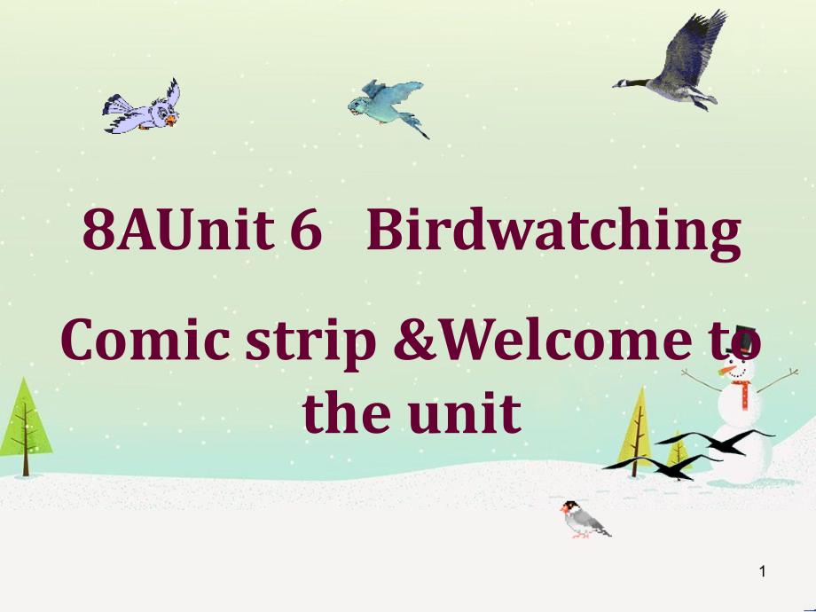 八年级英语上册 Unit 6 Bird watching课件 （新版）牛津版 (6)_第1页