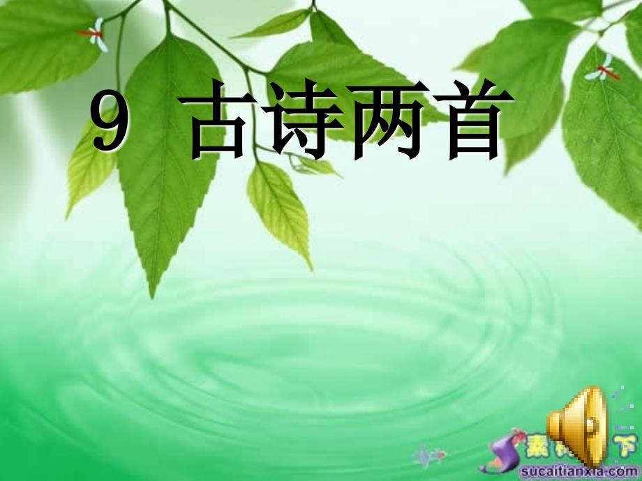 古诗两首《夜书所见》通用课件_第1页