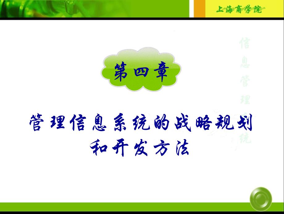 第四章 管理信息系统的战略规划与开发方法_第1页