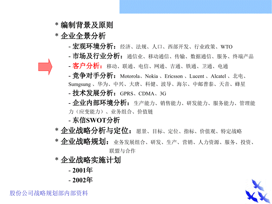 战略规划报告（客户分析）_第1页