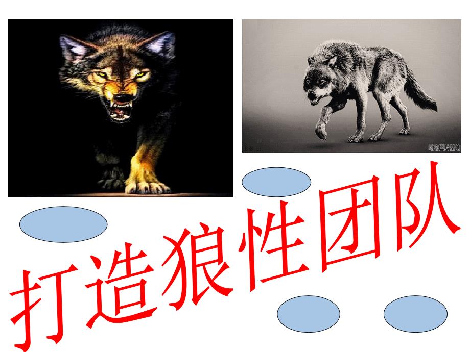 打造狼性团队(PPT 47页)_第1页