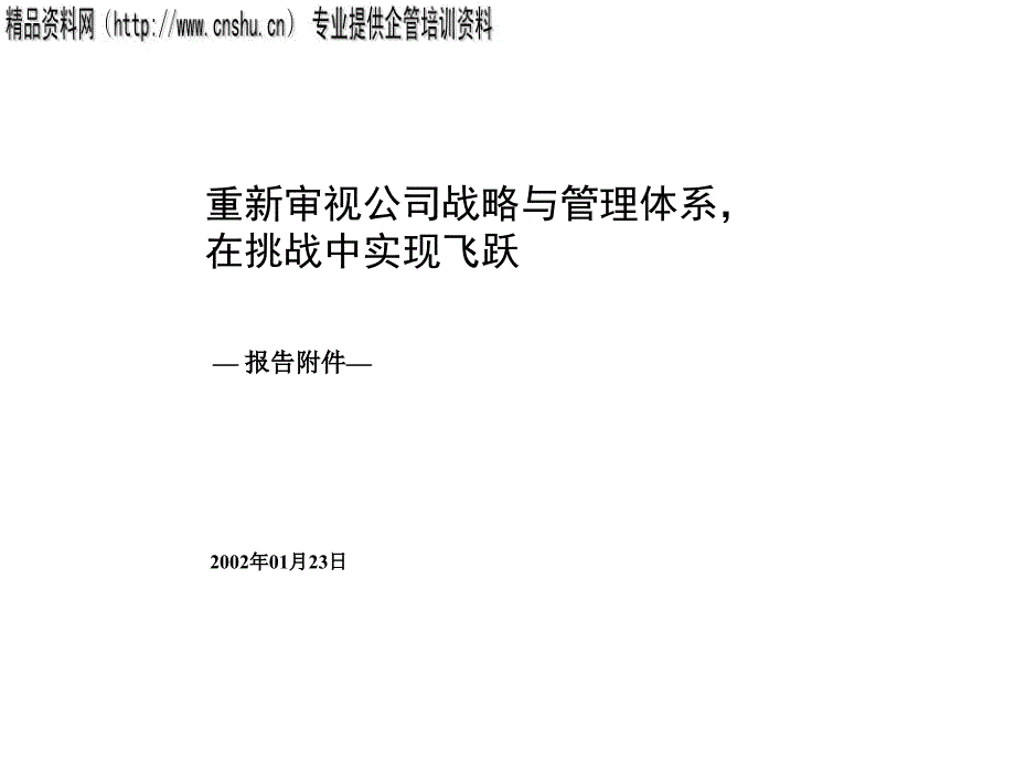 某公司战略与管理体系分析_第1页