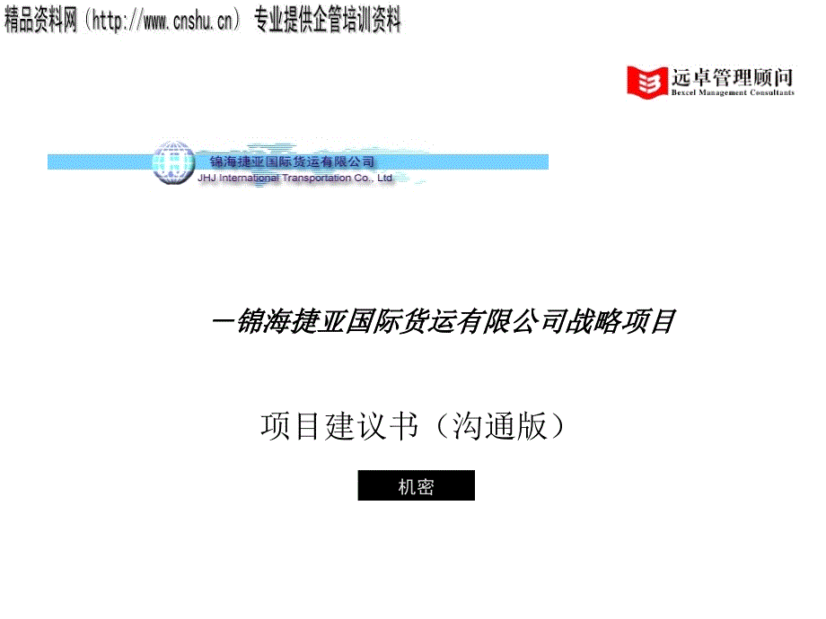 某国际货运公司战略项目分析_第1页