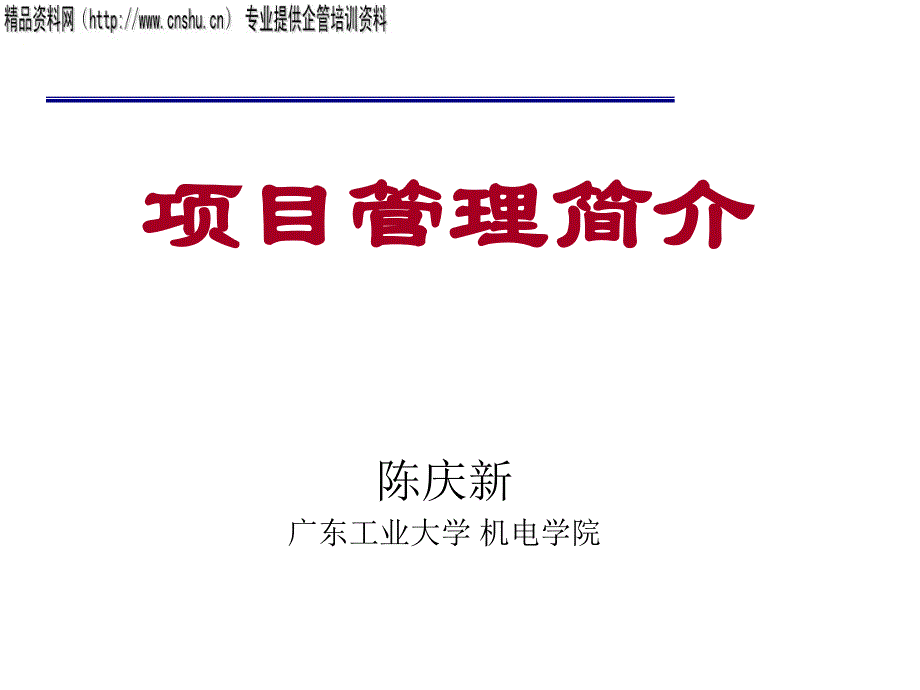 某公司项目管理知识简介_第1页