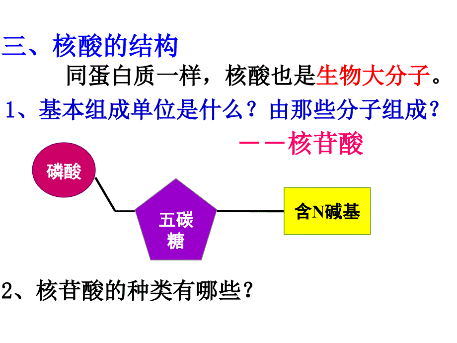 第二章第3节核酸2(教育精品)_第1页