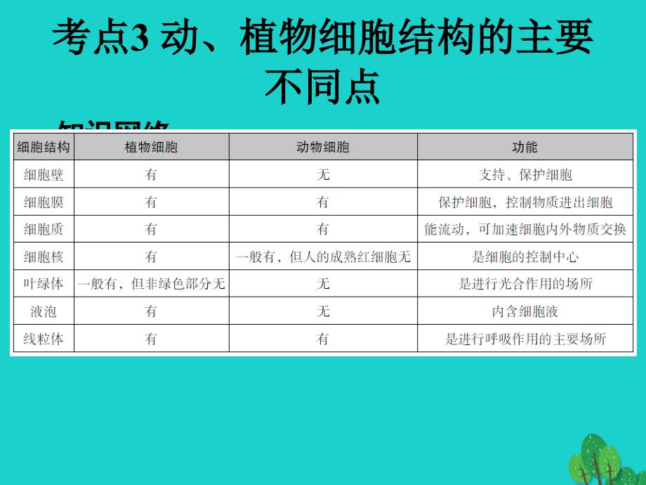 中考生物考点-动、植物细胞结构的主要不同点课件新人教版_第1页