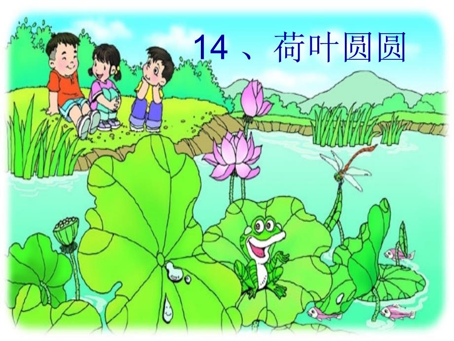 荷叶圆圆 (3)(教育精品)_第1页