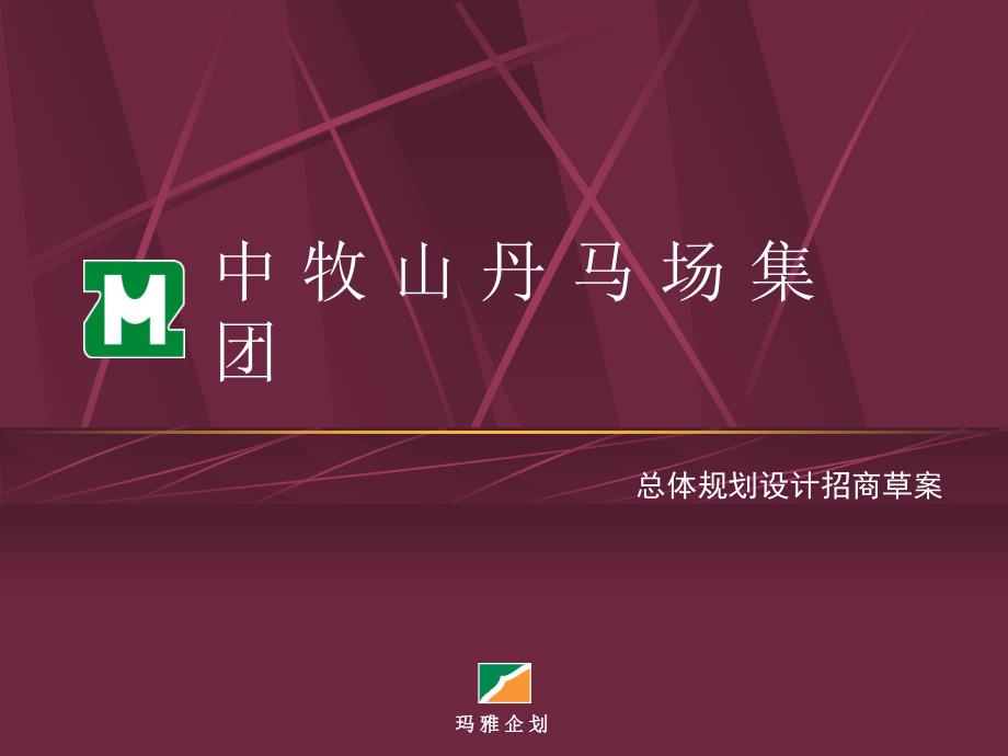 某集团总体规划设计招商草案_第1页