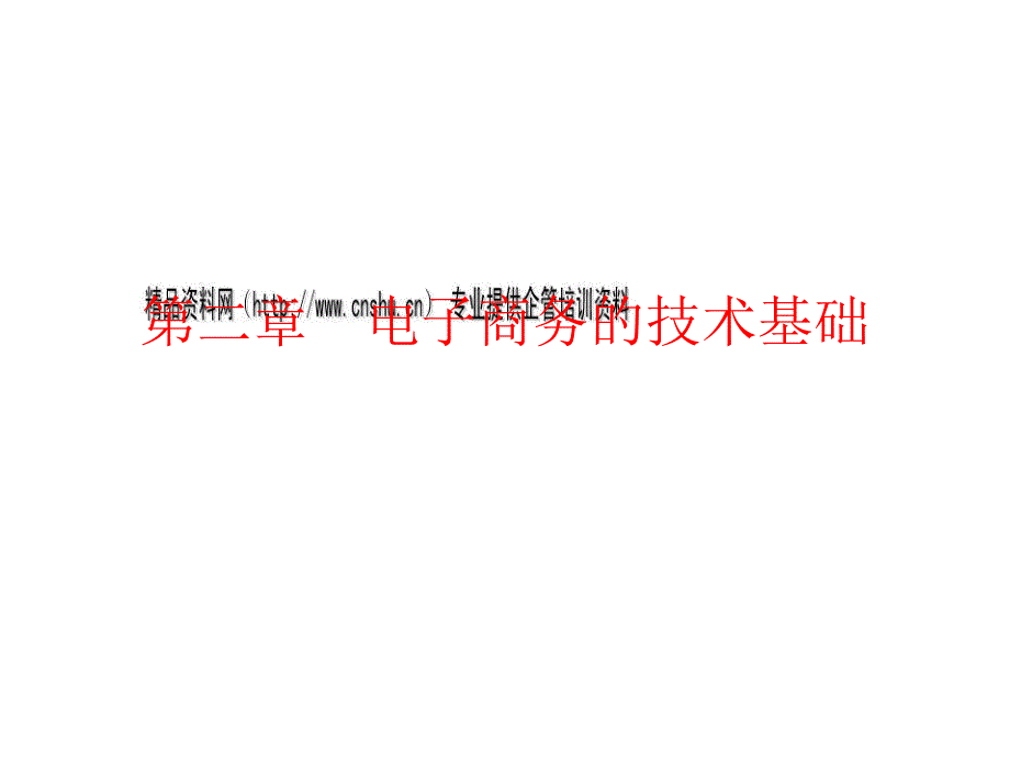 电子商务支付技术与安全技术_第1页