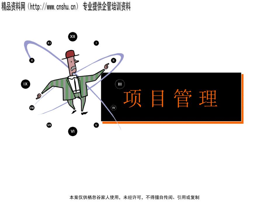 现代企业项目管理方案分析_第1页