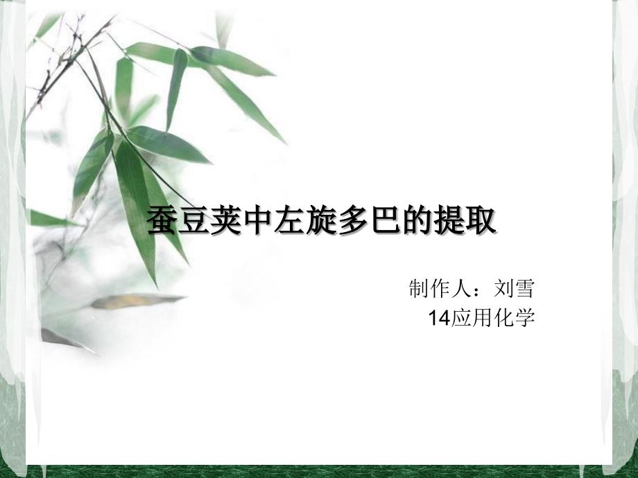 蚕豆荚中左旋多巴的提取_第1页