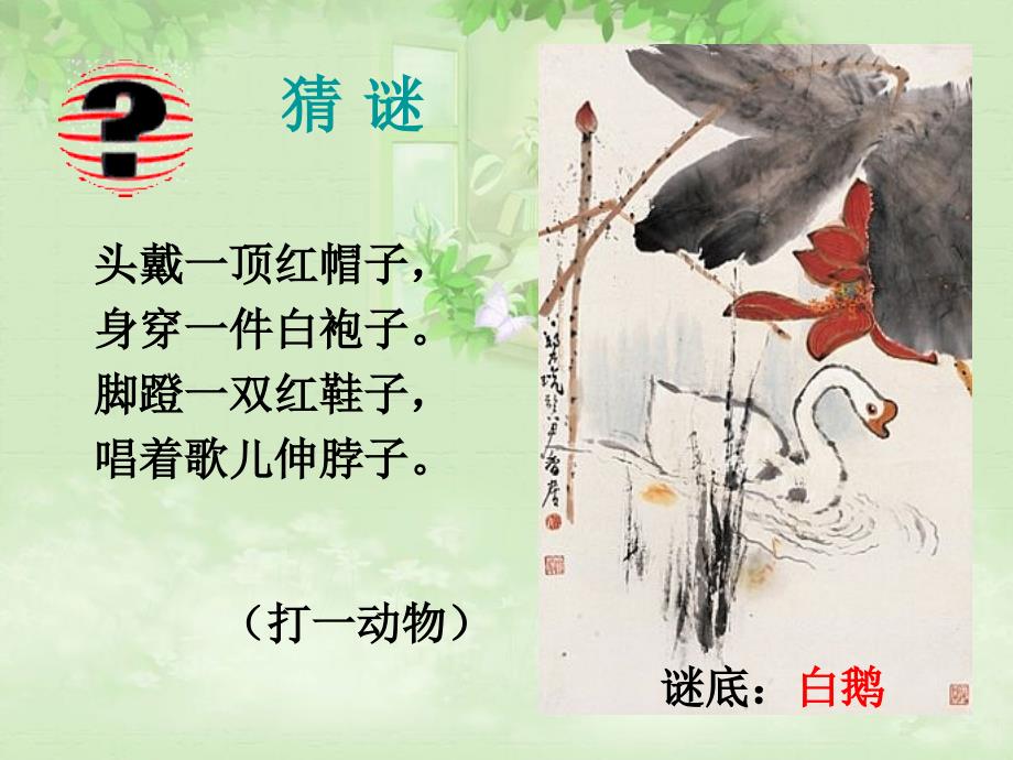 白鵝(教育精品)_第1頁