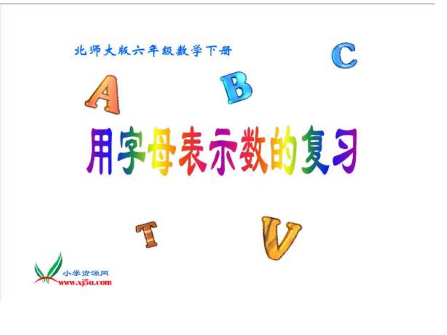 用字母表示数的复习1(教育精品)_第1页