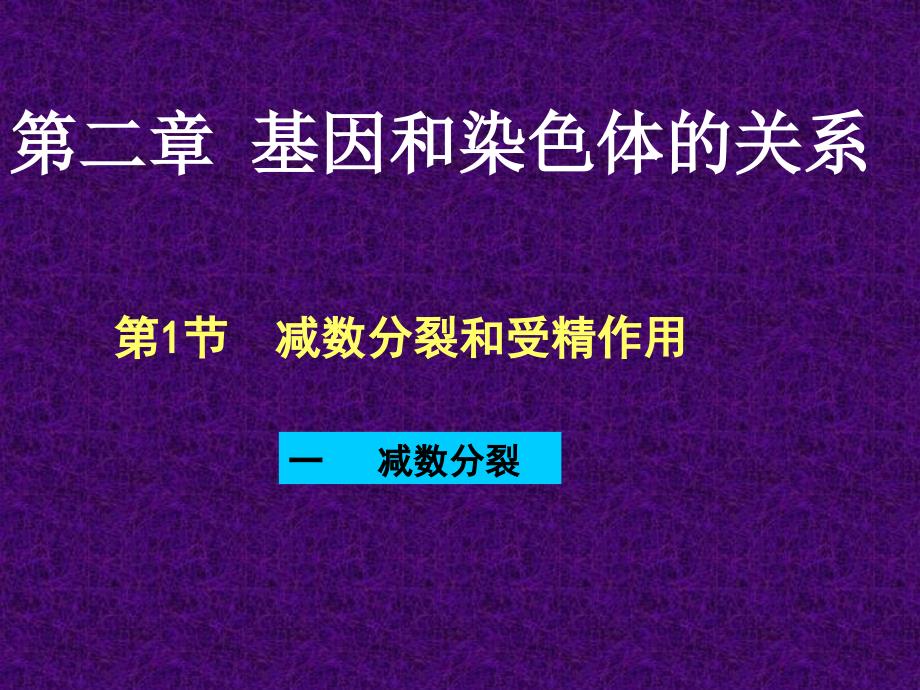 五2减数分裂和受精作用（正）_第1页