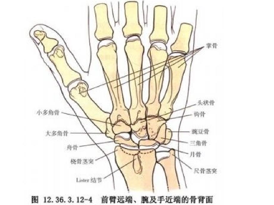 尺桡骨干骨折克氏针内固定术_第1页