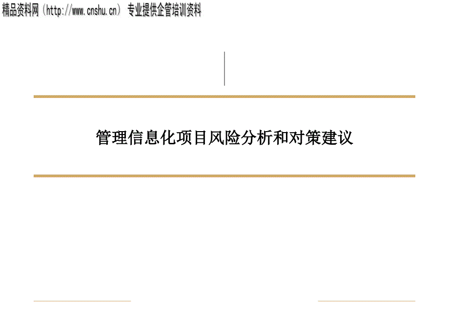 管理信息化项目风险分析与对策建议_第1页