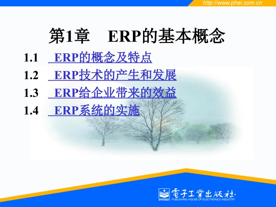 第1章企业资源计划(ERP)_第1页