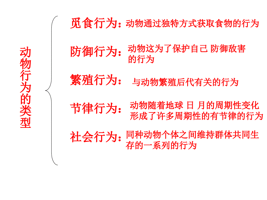 生态系统1(教育精品)_第1页