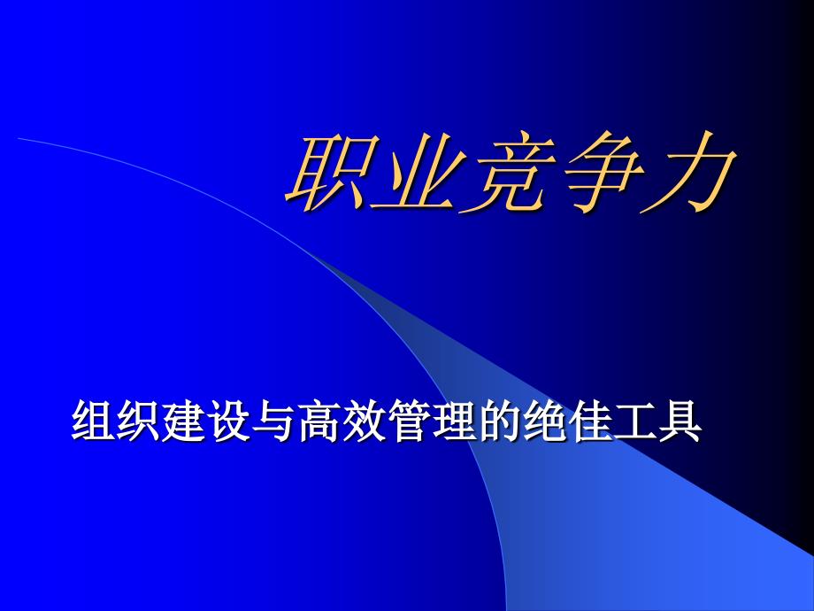 职业竞争力-组织建设与高效管理的绝佳工具(1)_第1页