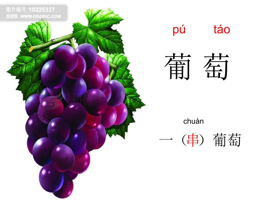 酸的和甜的演示文稿_第1页