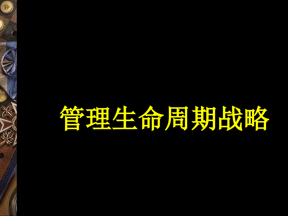 管理生命周期战略讲义_第1页