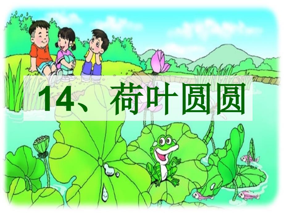 14、荷叶圆圆第一课时_第1页