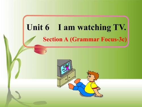 2013年新版新目標英語七年級下unit6_I’mwatchingTVSectionA第二課時