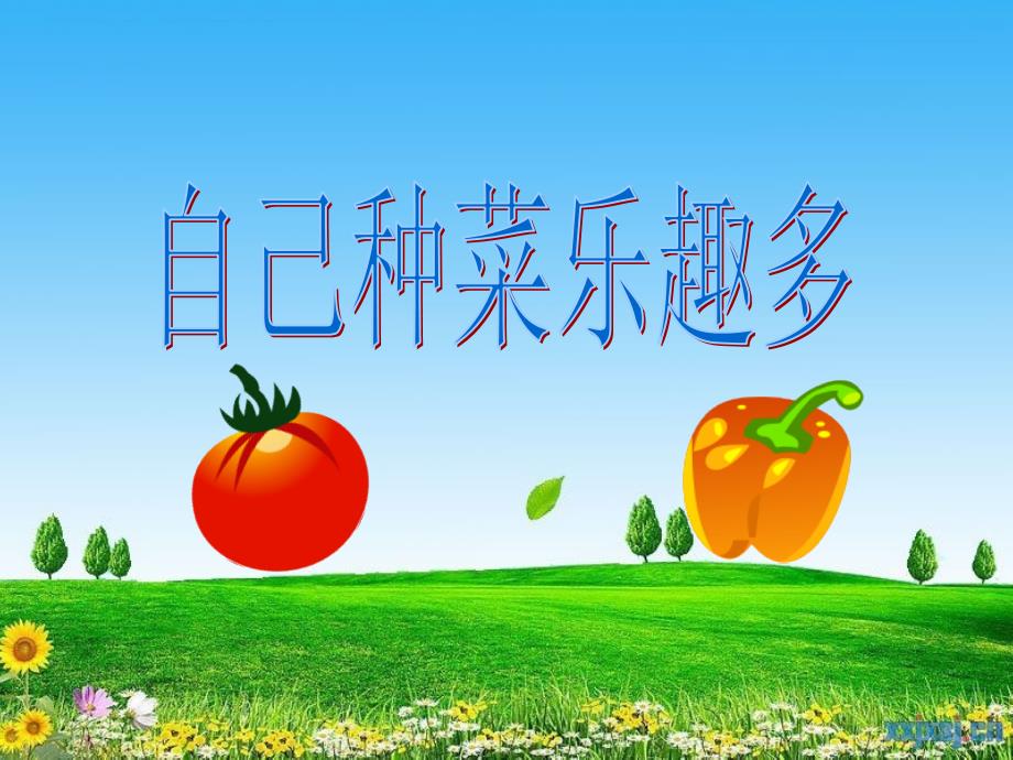 自己种菜乐趣多(教育精品)_第1页