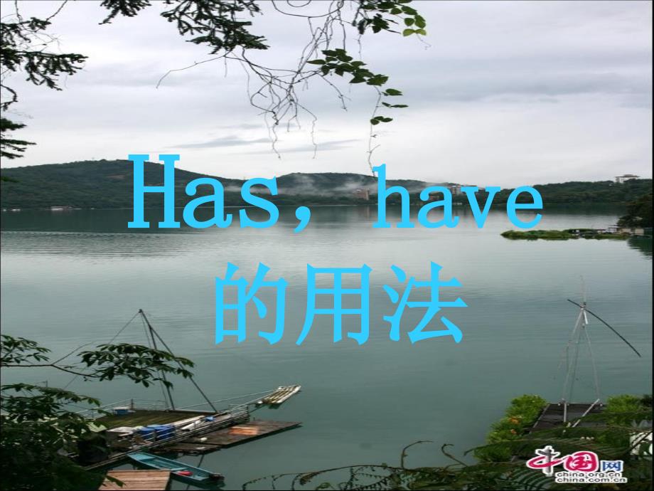 has和have的用法_第1页