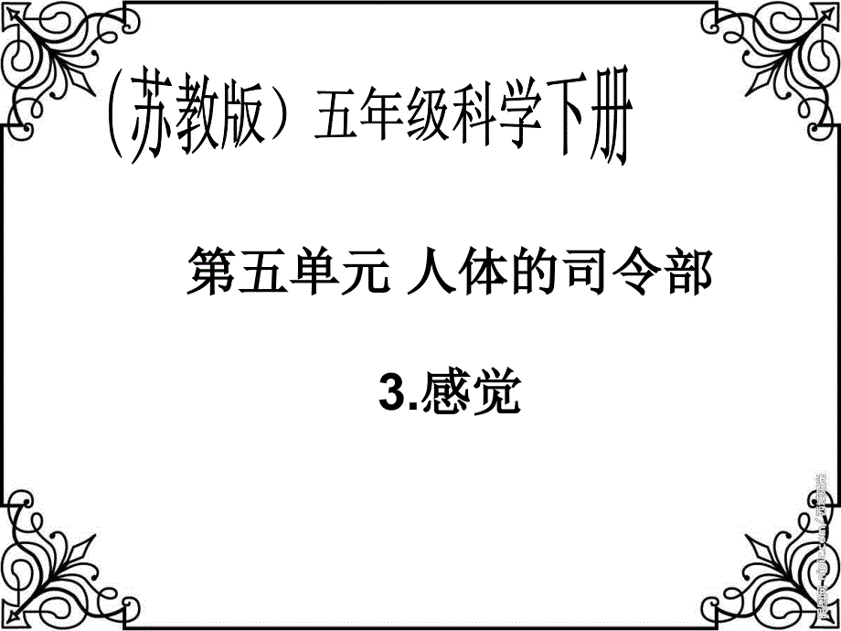 苏教版小学科学五年级下册《感觉》课件 (2)_第1页