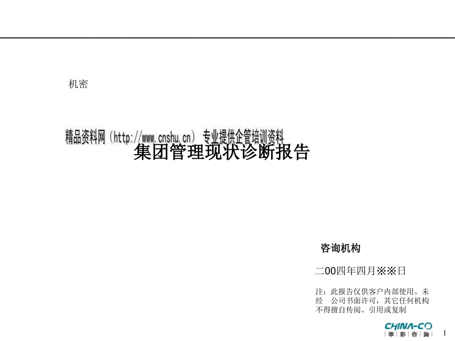 集团管理现状诊断报告范本_第1页