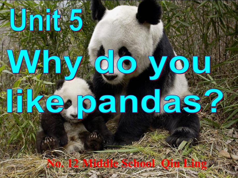 Unit5whydoyoulikepandas(教育精品)_第1页