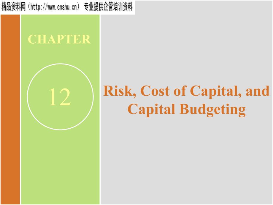 风险资本成本和资本预算讲义(英文)_第1页