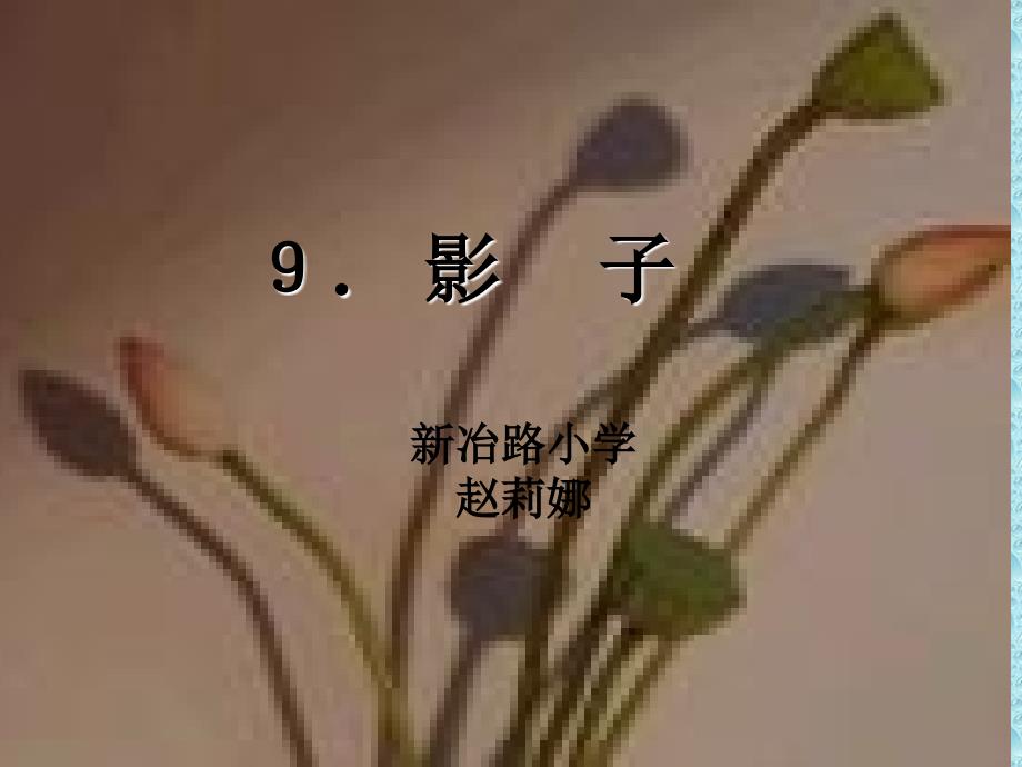 《影子》课件4_第1页