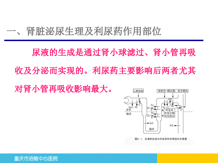 利尿脱水及降颅压药物_第1页