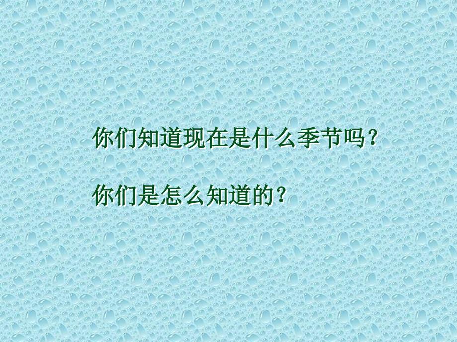 人教版二年级下册语文课件找春天1(教育精品)_第1页