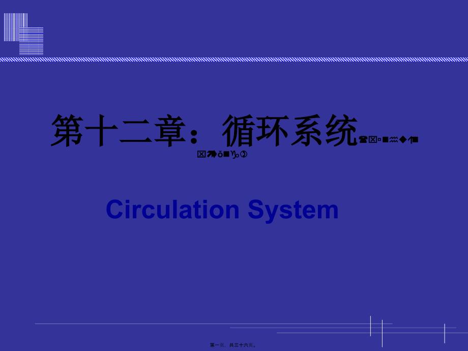 心脏以及循环系统的进化_第1页