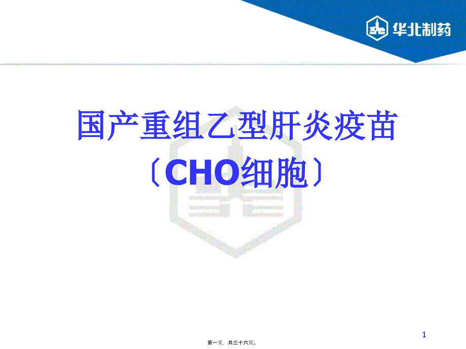 国产重组乙型肝炎疫苗CHO细胞_第1页